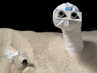 A small, exploratory, soft robot such as this has a variety of applications where shallow burrowing through dry granular media is needed, such as soil sampling, underground installation of utilities and erosion control (Photo: UC Santa Barbara)